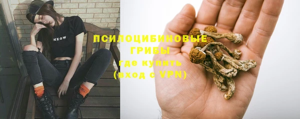 метамфетамин Богородицк