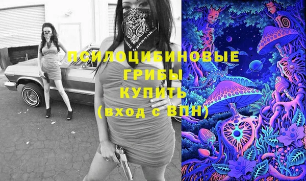 ALPHA PVP Богородск