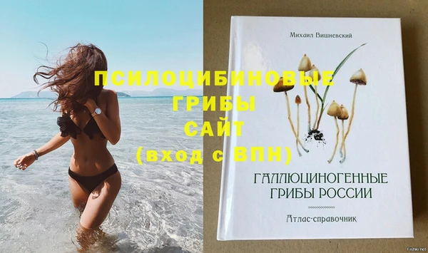 прущая мука Бородино