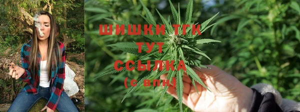 2c-b Беломорск