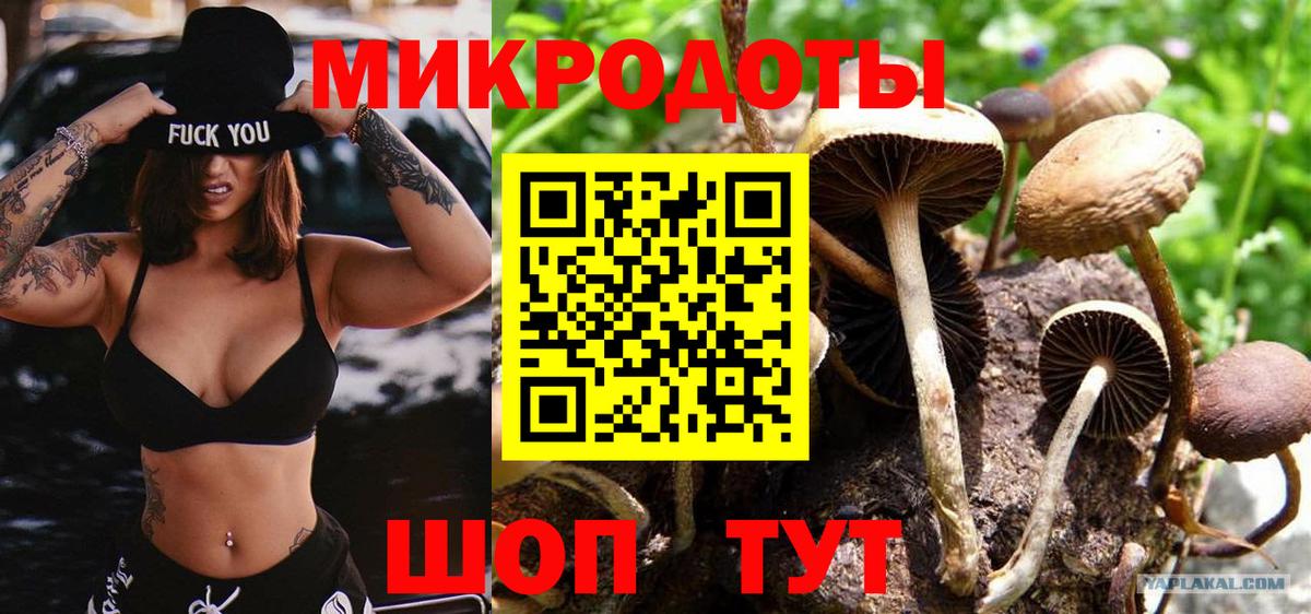 Галлюциногенные грибы мицелий Валуйки