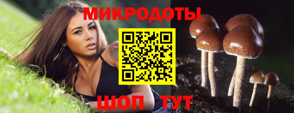 Галлюциногенные грибы мухоморы  Псилоцибиновые грибы Magic Shrooms  Валуйки  где можно купить   Вход с VPN 